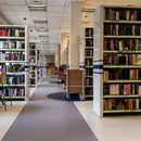 Warsztaty w bibliotece