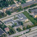 Andrzejki w Bibliotece