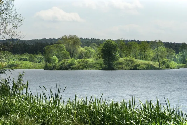 Spotkanie autorskie z Zofią Kucówną